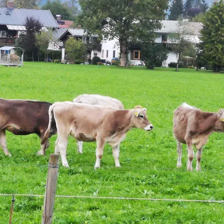 לינה וארוחת בוקר Gastehaus Schonfeld Schönau am Königssee